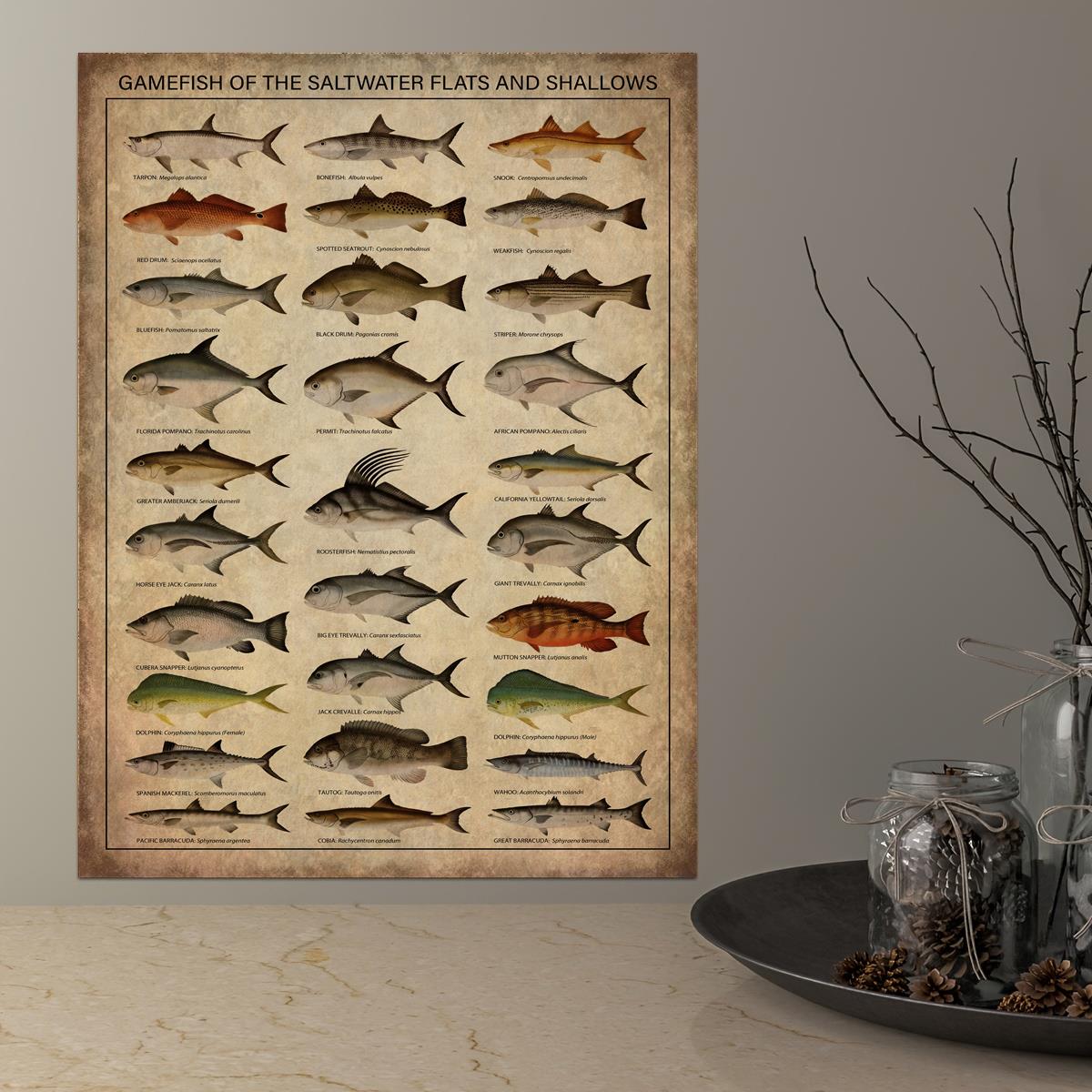 Saltwater Flats Shallows Gamefish Chart Poster Vintage Art - Temu