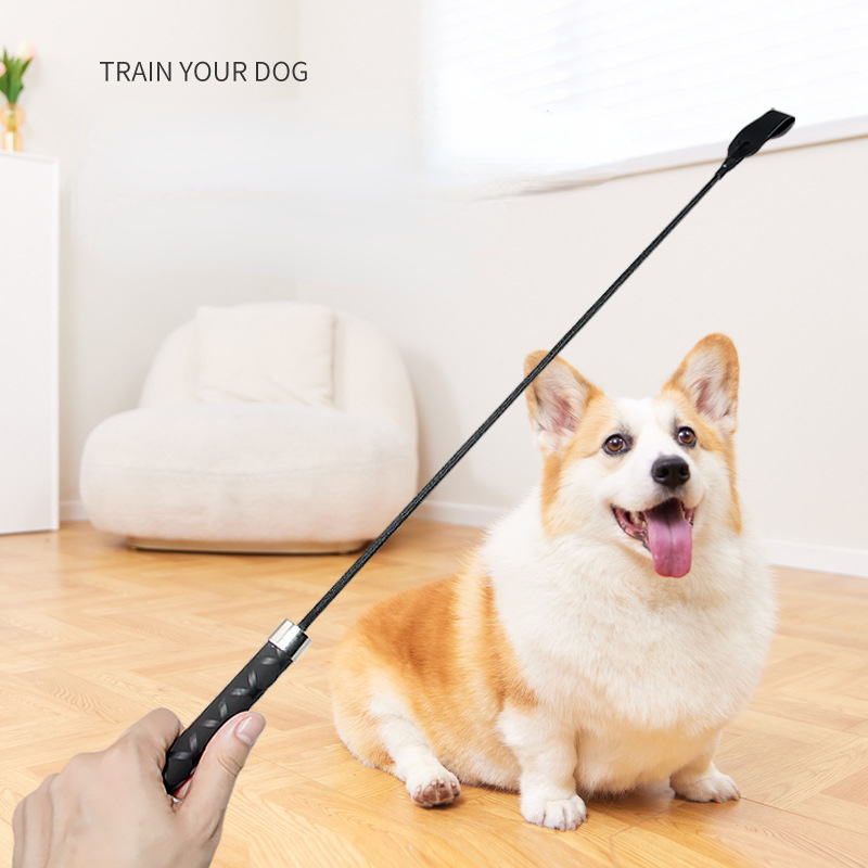 Interactive Flirt Pole Toy for Dogs - Outdoor Exercise and Training for  Small, Medium, and Large Dogs - Teaser Wand Toy with Durable Pole