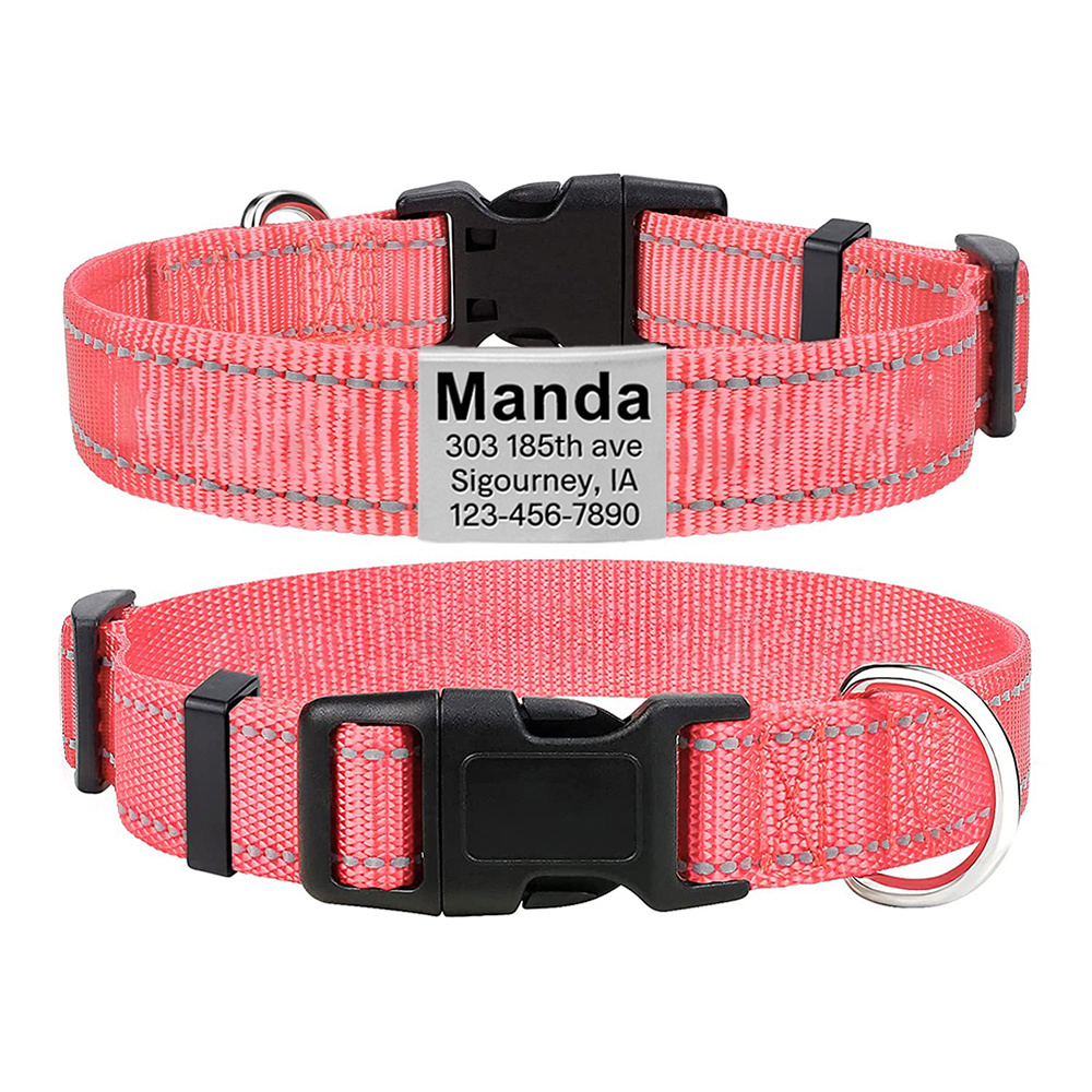 Custom dog outlet collars and tags