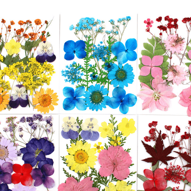 Mixed Colorful Small Dried Flowers Bulk For Resin Molds - Temu