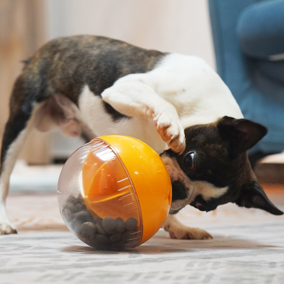 Pet Dog Treat Dispensing Toy, Food Leaking Toys, Dog Food Ball
