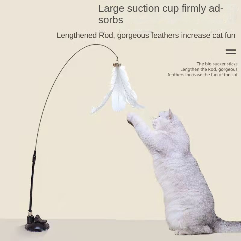 Feather Rod Cat Toy, Interactive Fun