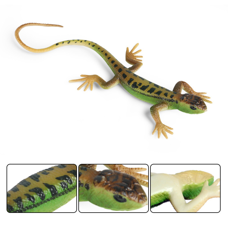 Lizard prank hot sale toy