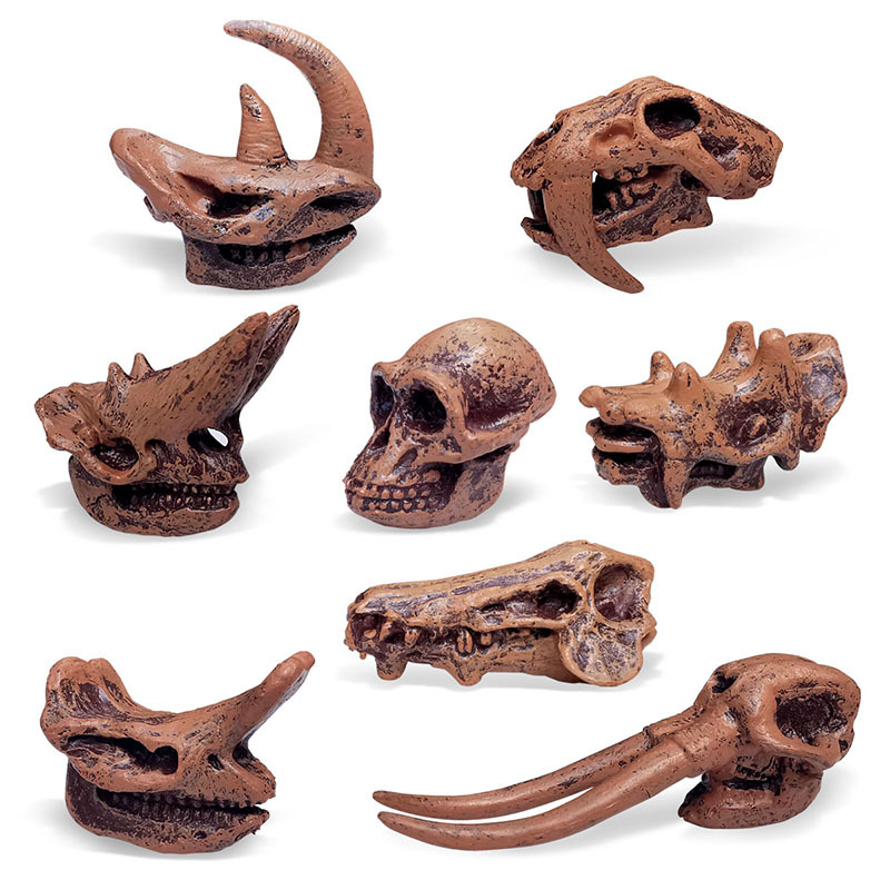 Children Toy Archeology Prehistoric Mammal Dinosaur Skull - Temu