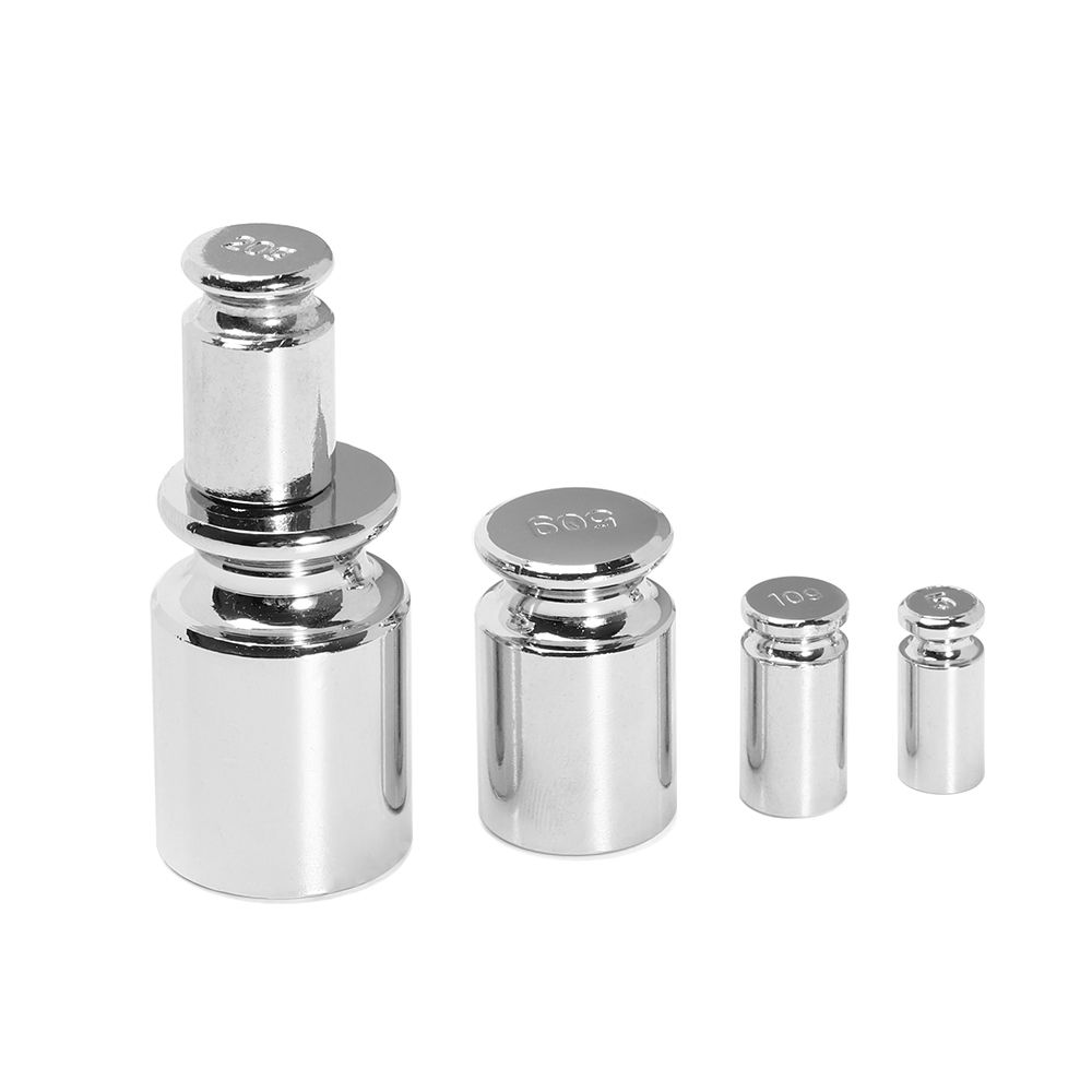 17 Pcs Calibration Weights Set, 10mg-100g Grams Weights Calibration,  Precision Stainless Steel Calibration Weight Kit, Scale Calibration Weight  Kit for Digital Balance Scale, Jewellery Scale: : Industrial &  Scientific