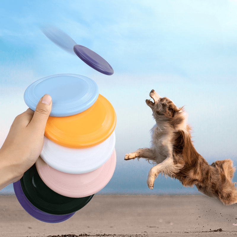 

Pet Toy Dog Flying Disc, Pet Interactive Supplies Training Flying Disc Floating Water Soft Flying Disc