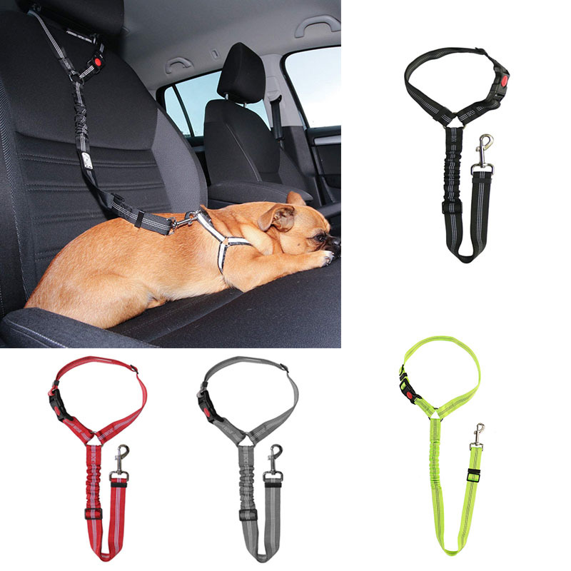 Cinturón Seguridad Duradero Automóviles Perros Arnés - Temu