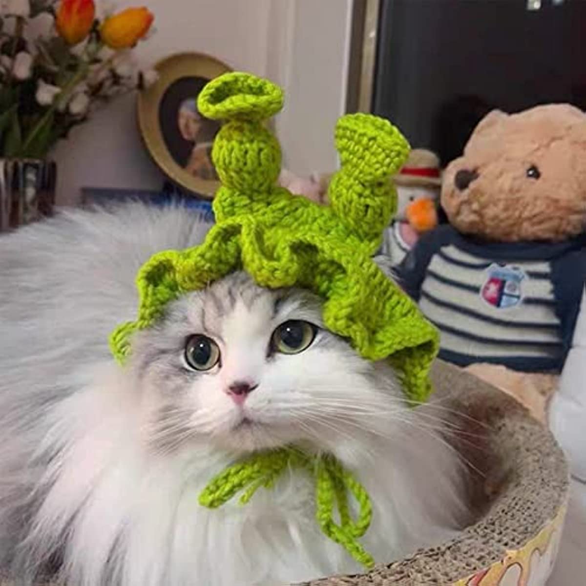 Shrek Pet Costume