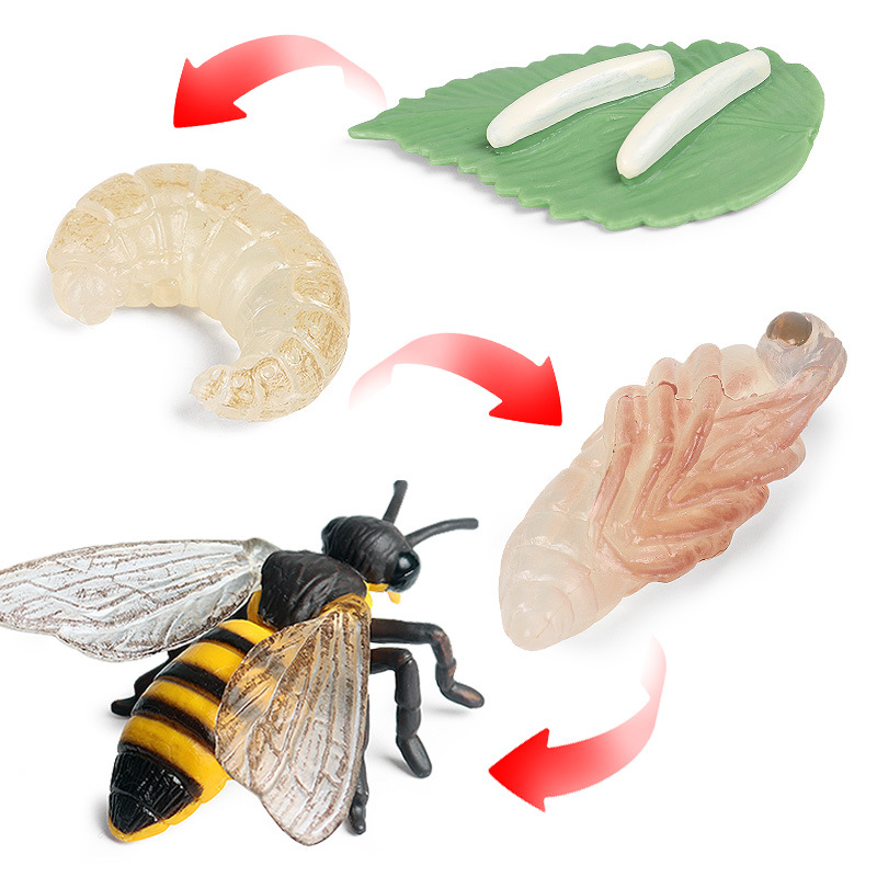 Safari Honey Bee Toy