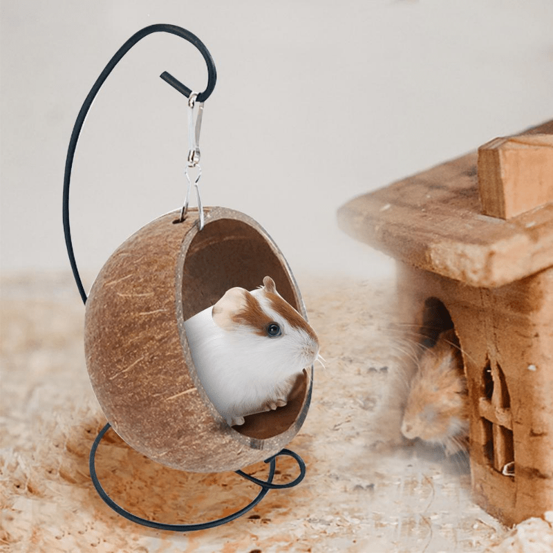 Coconut Shell Hideout For Small Animals Perfect - Temu