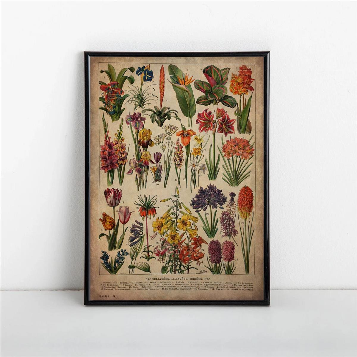 Vintage Floral Art Print Poster No 13