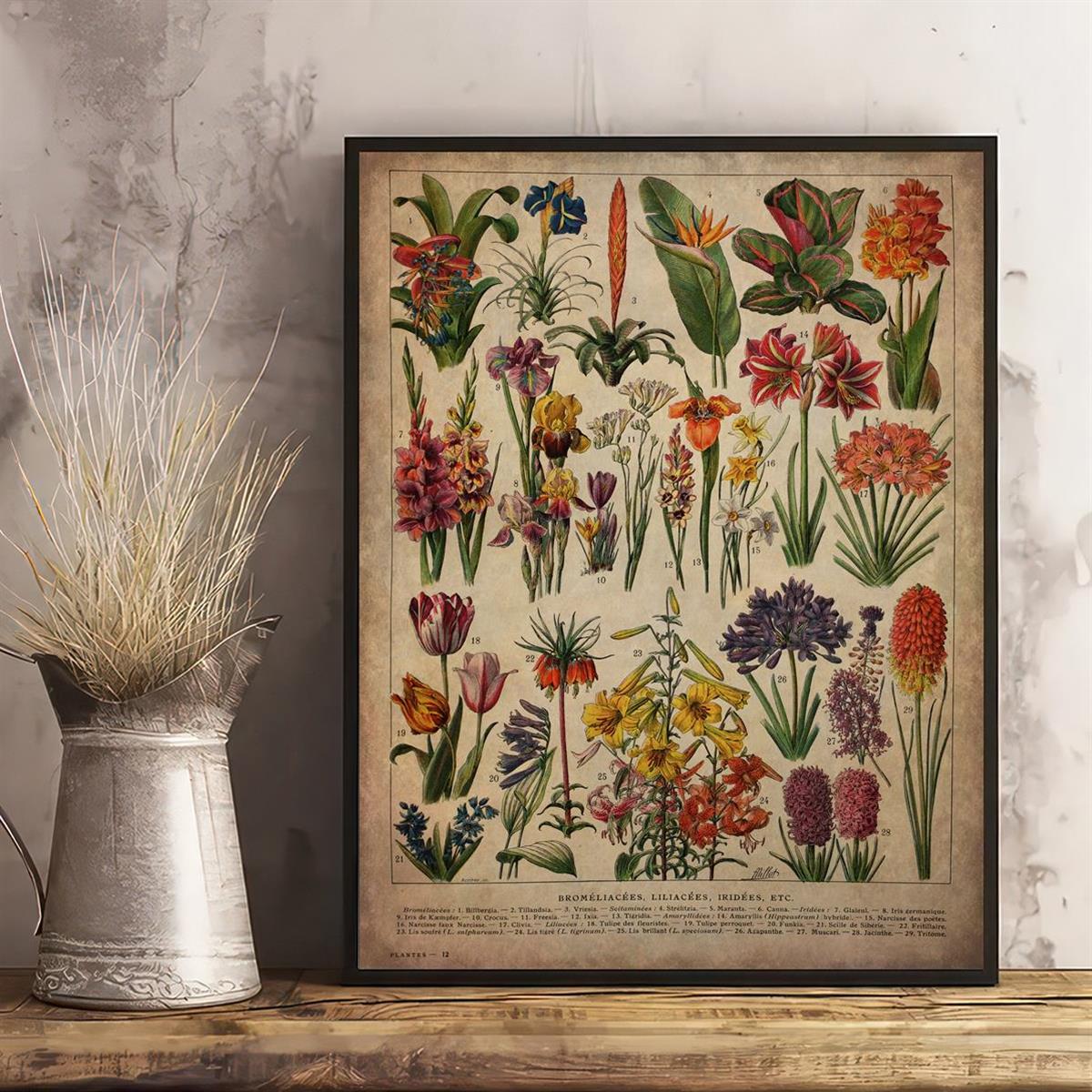 Vintage Floral Art Print Poster No 13