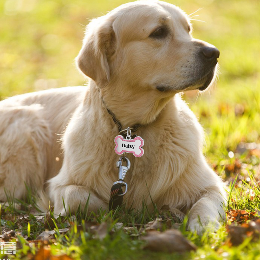 Engraved Personalized Pet Id Tags Custom Dog Name Tags Temu