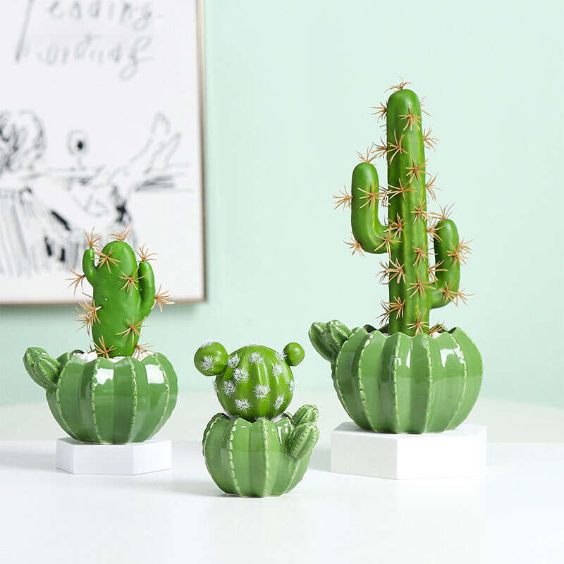 Decoración con cactus y suculentas para tu hogar - Viveros Selva