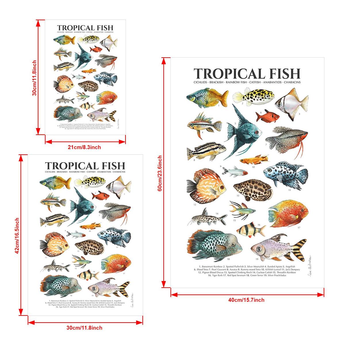 Tropical Fish chart Poster for Sale by polymolystudio