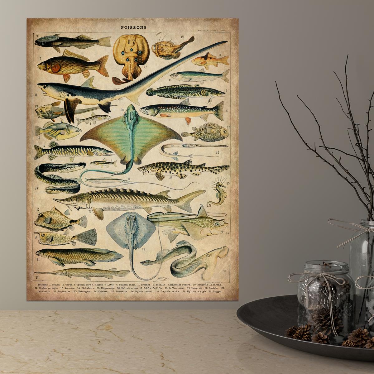 Vintage Art Canvas Poster Educational Ocean Fish Chart - Temu