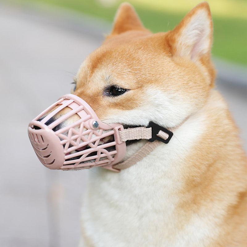 Basket muzzle deals for chihuahua