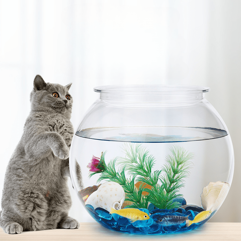 Betta Fish Tank Plastic Goldfish Tank Transparent Oval Shape - Temu