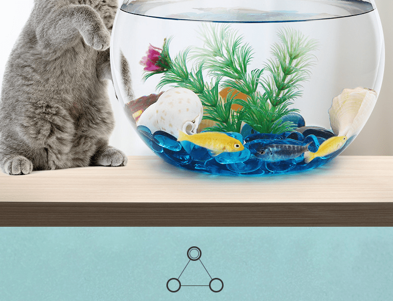 Bol à poissons transparent en plastique rond multifonction pour décoration  de bureau, bibliothèque : : Tout le reste