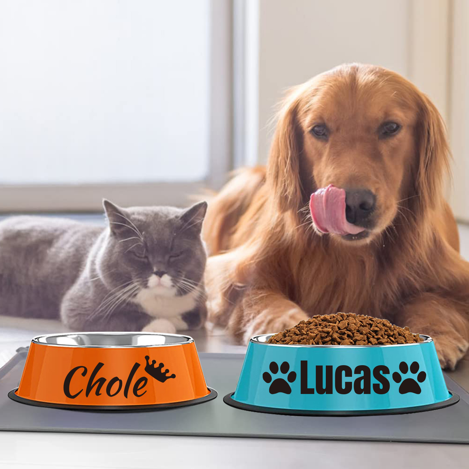 Custom Pet Food Mat w/ Stainless Steel Bowl Set