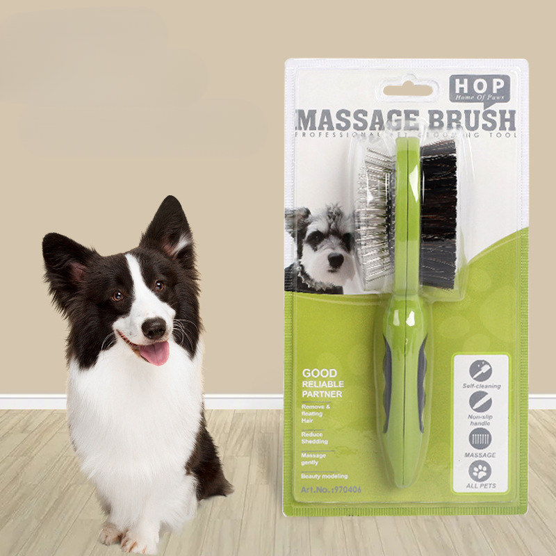 Pets at 2024 home dog comb