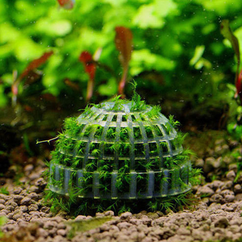 Toukeran Aquarium Moss Ball Holder, Fish Tank DIY Moss Ball Shape Former  Modeling , Moss Ball Holder Filter for Aquarium Moss Plant Landscape Decor