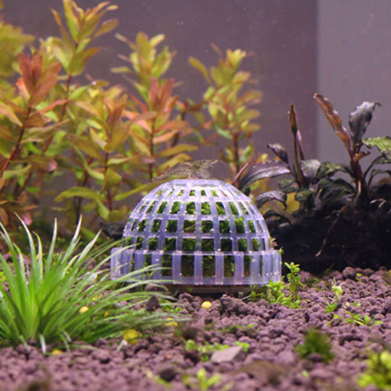 Aquarium Decoration Submerged Moss Ball Base with Filter Material - Jungle  Aquashrimp