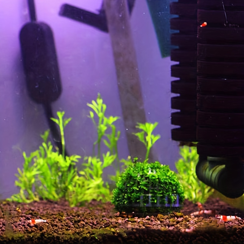 1 PC 5cm Aquarium Fish Tank Media Moss Ball Live Plant Filter