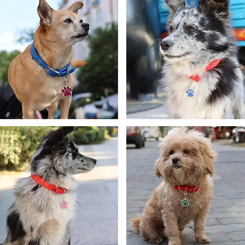 Id Tag Dog Collar, Anti Lost Pet Dog Tag, Pet Id Tag Collar
