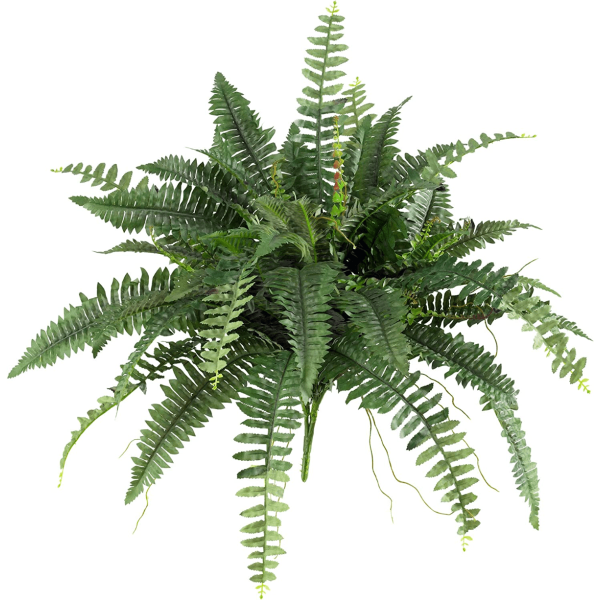 Nearly Natural Boston Fern with Decorative Wood Vase Silk Plant Green