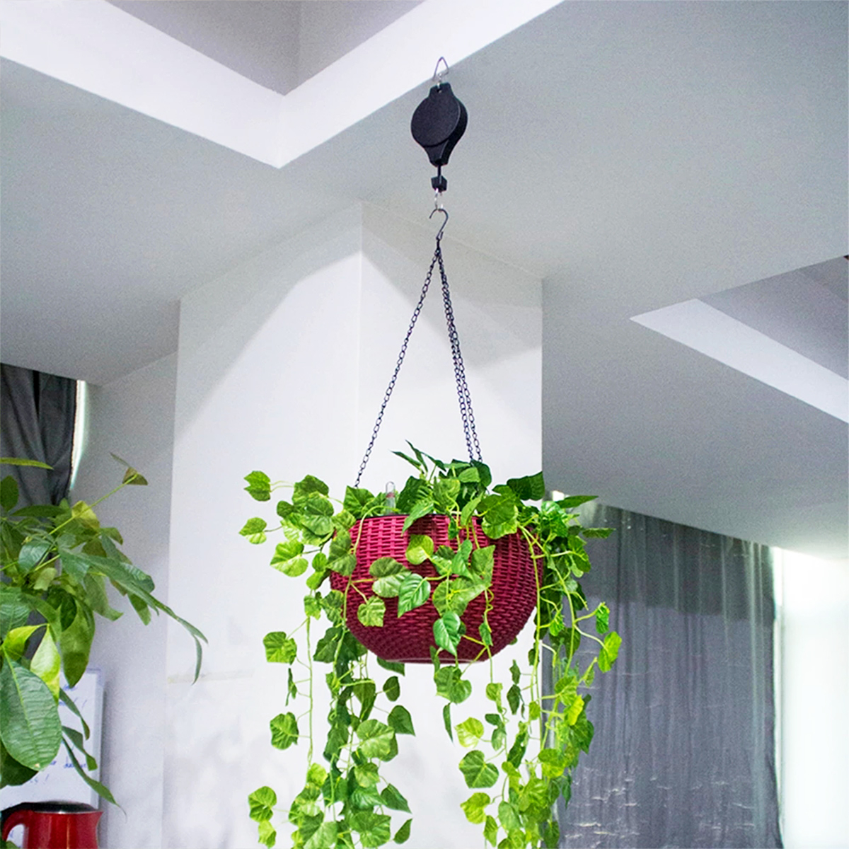 Plant Pulley Retractable Plant Hanger Hanging Flower Basket - Temu United  Arab Emirates