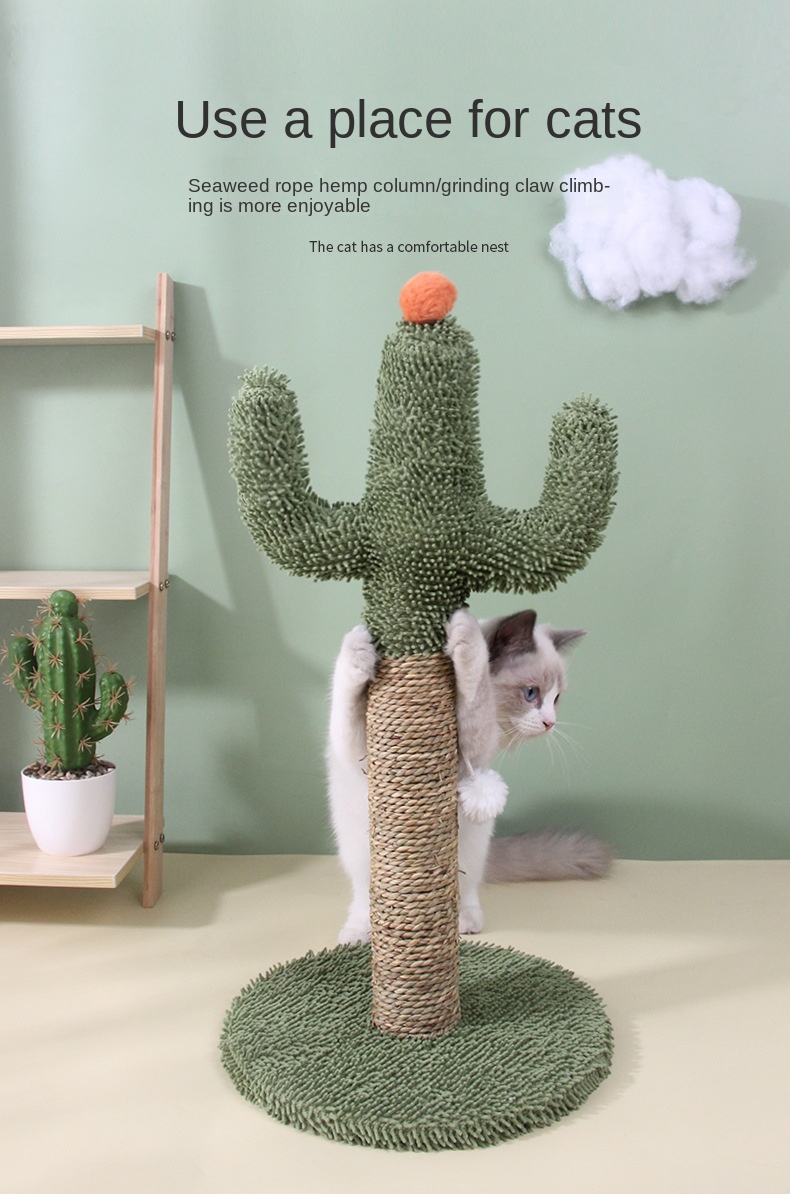Cactus Shaped Cat Scratcher Toy Cat Scratching Toys Interactive Toys For Indoor Cat Pet Supplies details 0