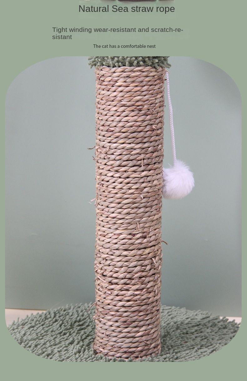 Cactus Shaped Cat Scratcher Toy Cat Scratching Toys Interactive Toys For Indoor Cat Pet Supplies details 4