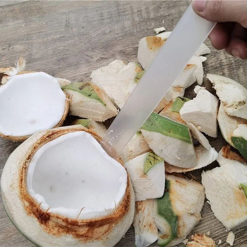 Multi-functional Coconut Planer, Coconut Soft Egg Knife, Coconut Meat  Separator, Coconut Meat Scraper, Coconut Shell Removal Tool - Temu