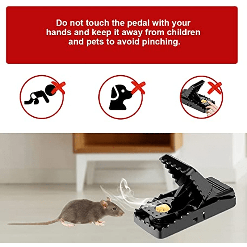 Las alternativas dentro de las trampas para ratas para un hogar - Empresa 