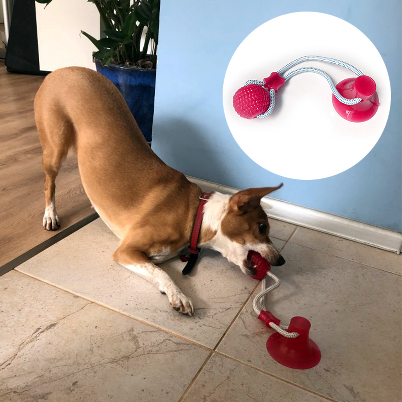 Juguetes interactivos para perros con ventosa para masticar