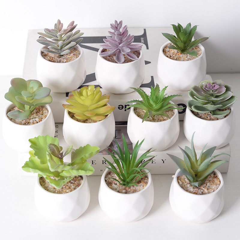  Set mit 6 Kunstpflanze Kaktus grün im Blumentopf, kleine Steine  füllen Mini dekorative künstliche Sukkulenten im Topf Kunstblumen für Home  Office Raumdekoration