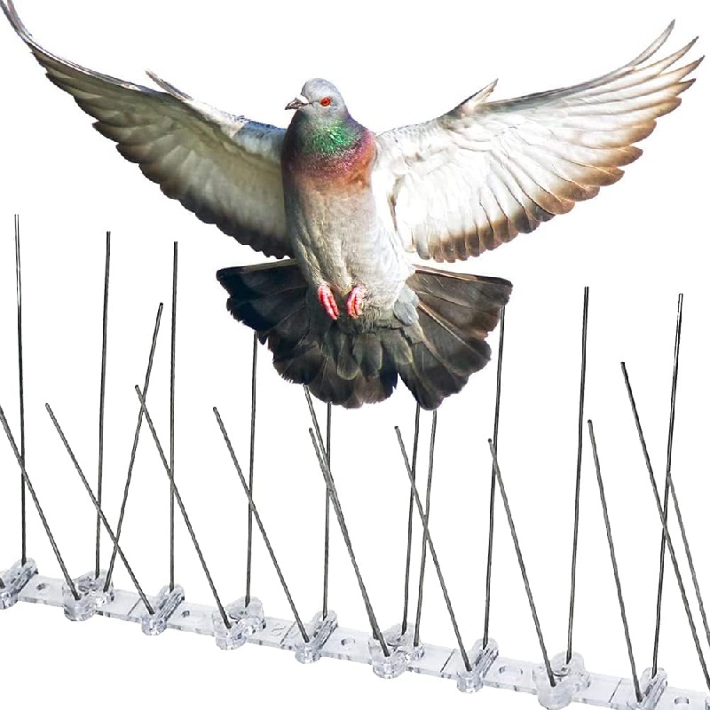 12 Confezioni, Picchi Per Uccelli Acciaio Inossidabile Anti Piccioni  Deterrente Totale 3M Uccelli Repellente Anti Salita Recinzione Di Sicurezza