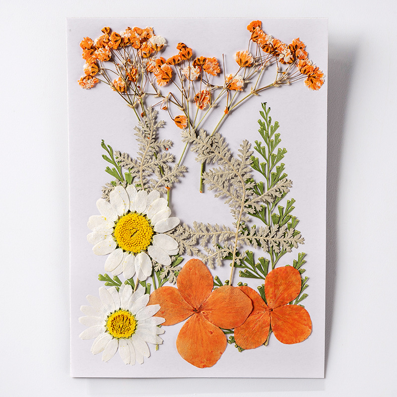 Diy Crafts Kit Real Pressed Flowers Dry Leaves Natural Herbs - Temu