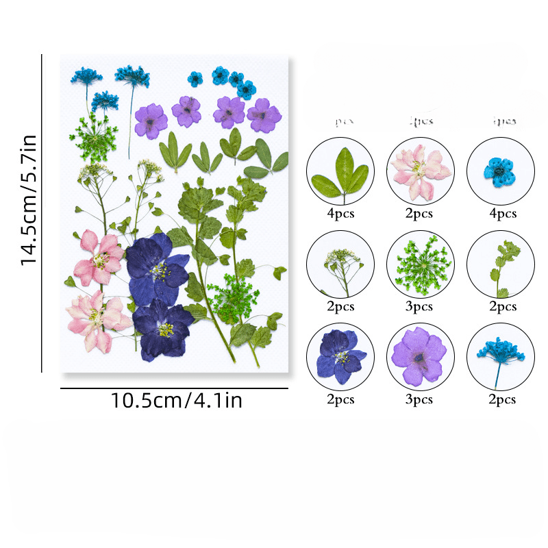 Dried Pressed Flowers Kit: Perfect For Resin Scrapbooking - Temu