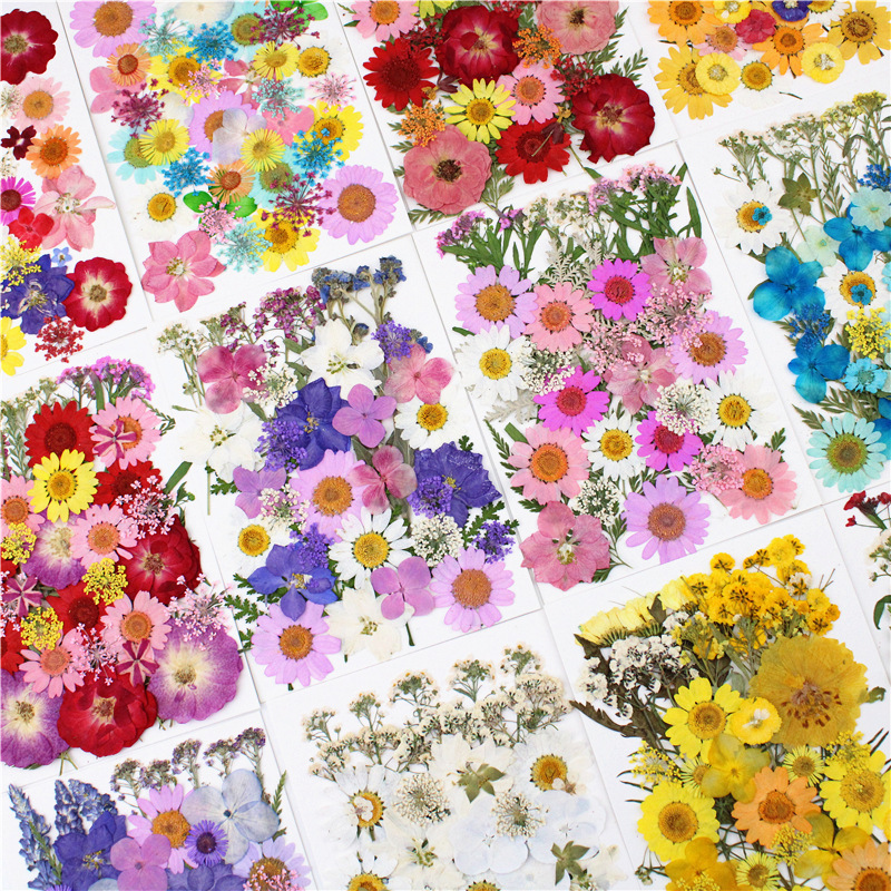 Mini Dried Pressed Flowers Kit Perfect For Diy Resin - Temu