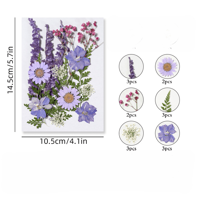 Create Unique Crafts With Diy Art Kit Real Pressed Flowers - Temu