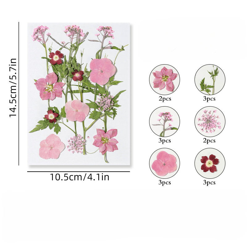 Create Unique Crafts With Diy Art Kit Real Pressed Flowers - Temu