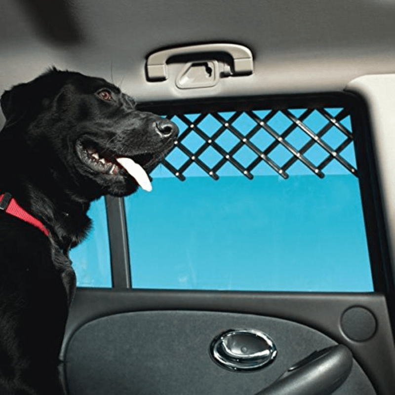 Dog hot sale window guard