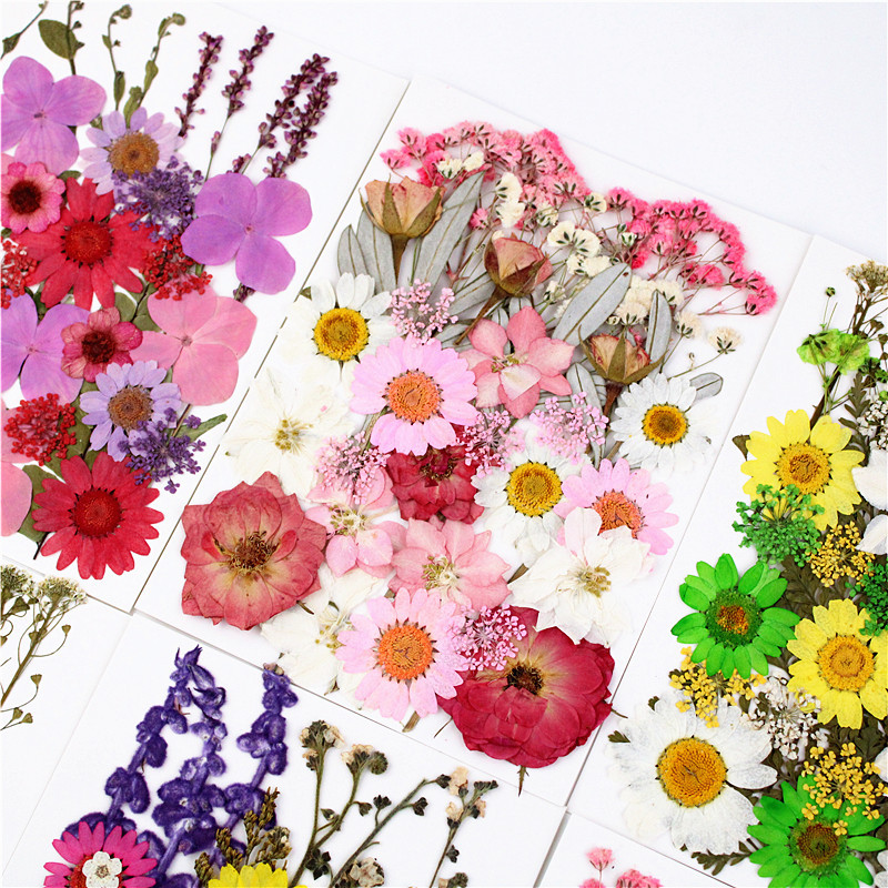 Create Stunning Art With Real Pressed Flowers Herbs Perfect - Temu