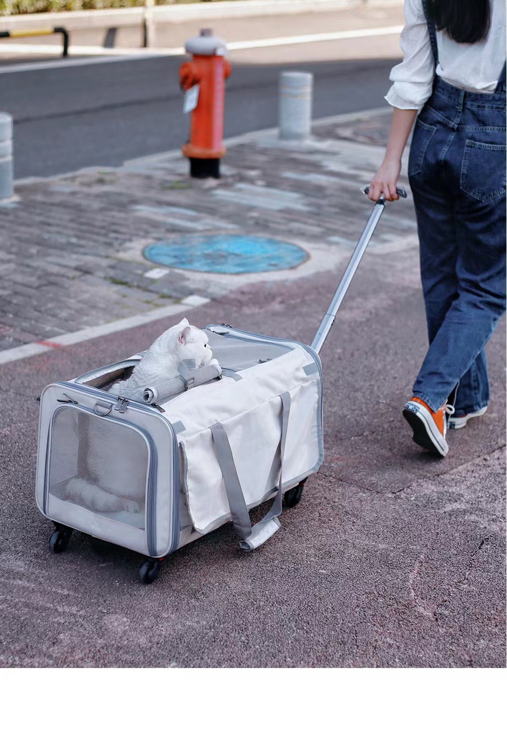 Double Compartment Pet Rolling Carrier Wheels 2 Cats Puppies Temu