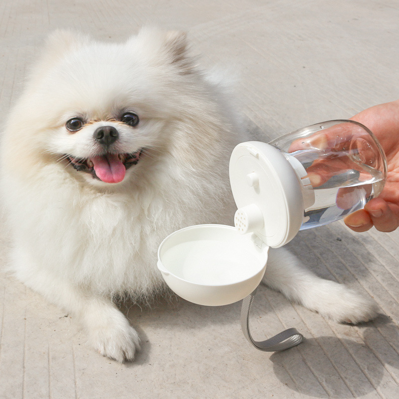 Portable Pet Dog Water Bottle Outdoor Puppy Dog Water - Temu