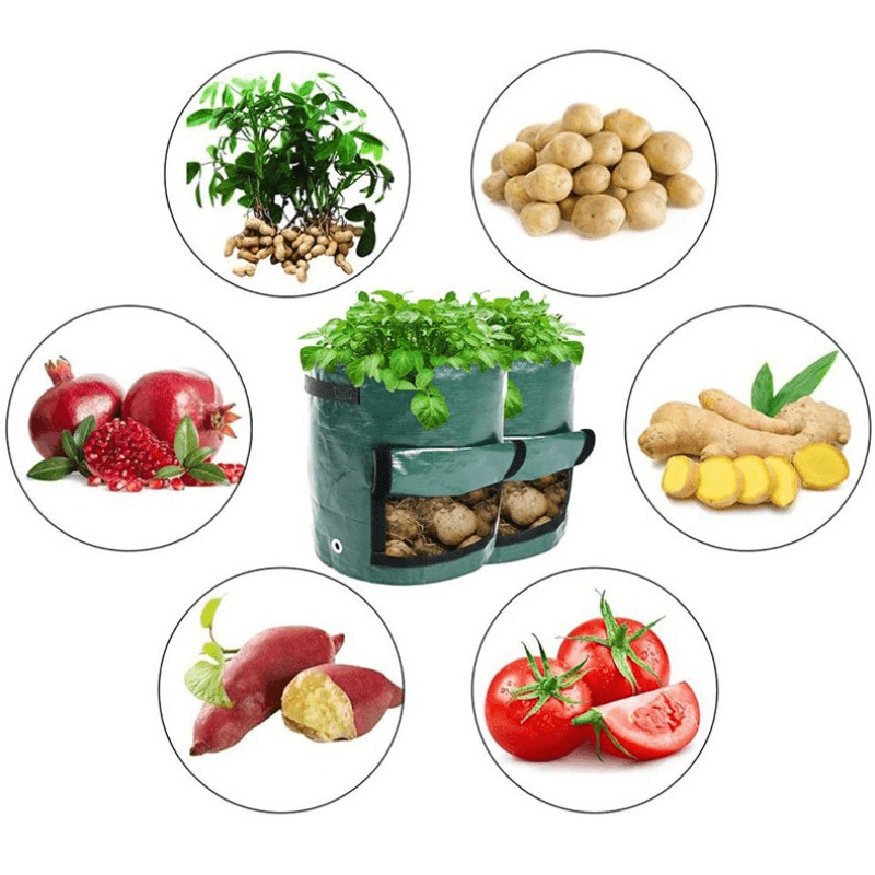 Potato Grow Bags Pe Planting Growing Bag With Flap And - Temu