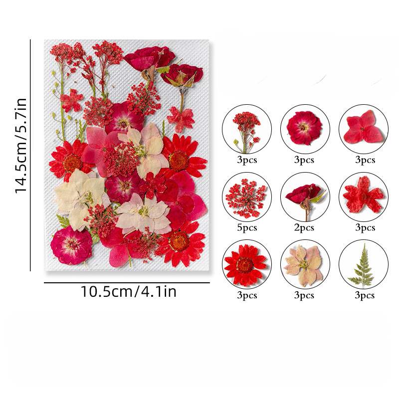 Create Unique Crafts With Diy Art Kit Real Pressed Flowers - Temu
