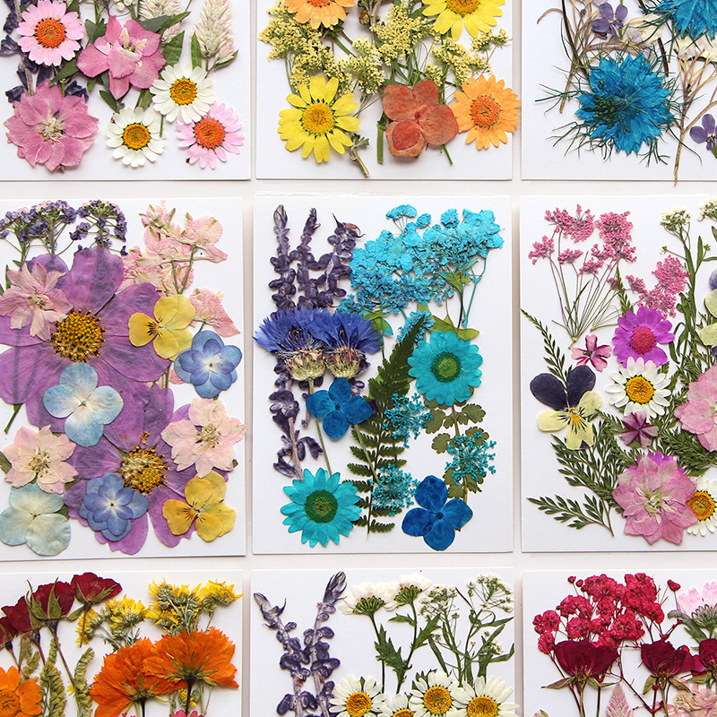 

12-23pcs Dried Pressed Flower Kit - Perfect For Diy Resin Jewelry, Candles, Soaps & Nail Decorations!